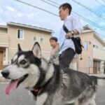 レス1番のリンク先のサムネイル画像