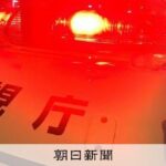 レス1番のリンク先のサムネイル画像