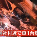 レス1番のリンク先のサムネイル画像