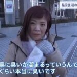 レス9番の画像1