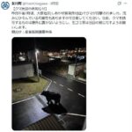 レス1番のリンク先のサムネイル画像