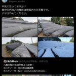 レス1番の画像3