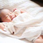 レス1番のリンク先のサムネイル画像