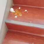 レス1番の画像3