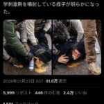 レス3番の画像1