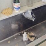 レス1番の画像4