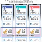 レス1番のリンク先のサムネイル画像