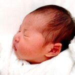 レス1番のリンク先のサムネイル画像