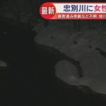 レス1番のリンク先のサムネイル画像