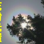 レス1番のリンク先のサムネイル画像