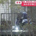 レス1番のリンク先のサムネイル画像