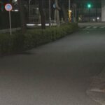 レス1番のリンク先のサムネイル画像