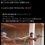 レス19番の画像1