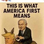 レス10番の画像1