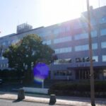 レス1番のリンク先のサムネイル画像