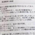 レス1番のリンク先のサムネイル画像