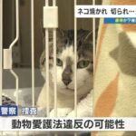 レス1番のリンク先のサムネイル画像