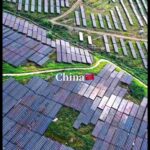 レス4番の画像4