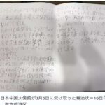 レス2番の画像1