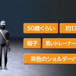 レス1番のリンク先のサムネイル画像