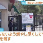 レス1番のリンク先のサムネイル画像