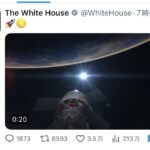 レス23番の画像1