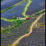 レス4番の画像5