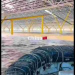 レス4番の画像3