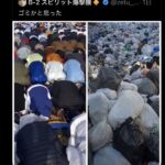 レス1番の画像2