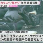 レス1番のリンク先のサムネイル画像