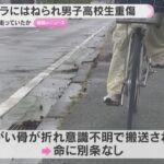 レス1番のリンク先のサムネイル画像