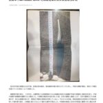 レス4番の画像1