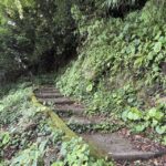 レス12番の画像1
