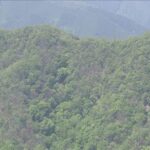 レス1番のリンク先のサムネイル画像