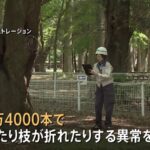 レス1番のリンク先のサムネイル画像