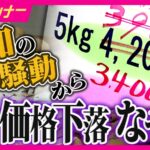 レス1番のリンク先のサムネイル画像