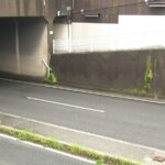 レス1番のリンク先のサムネイル画像