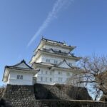 レス17番の画像1