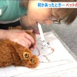レス1番のリンク先のサムネイル画像