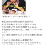 レス3番の画像1