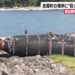 レス1番のリンク先のサムネイル画像
