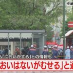 レス1番のリンク先のサムネイル画像