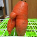 レス3番の画像1