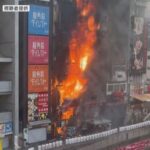 レス1番のリンク先のサムネイル画像