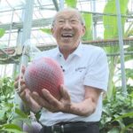 レス1番のリンク先のサムネイル画像