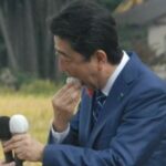 レス12番の画像1
