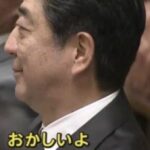 レス29番の画像1