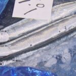 レス1番のリンク先のサムネイル画像