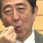 レス13番の画像1