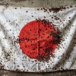 レス10番の画像1